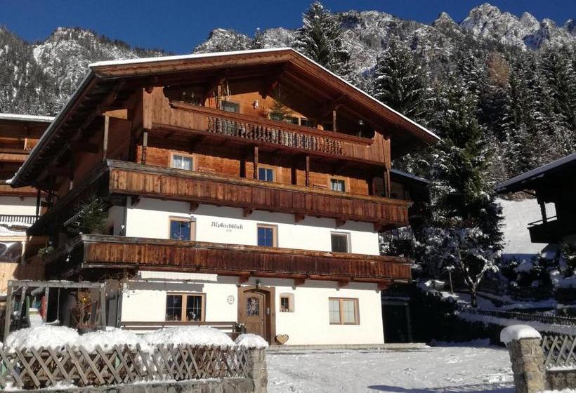 Отель Alpbachblick