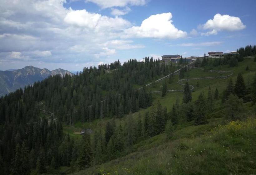 Отель Alpbachblick