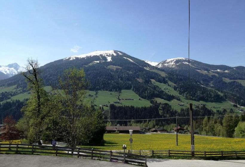 Отель Alpbachblick