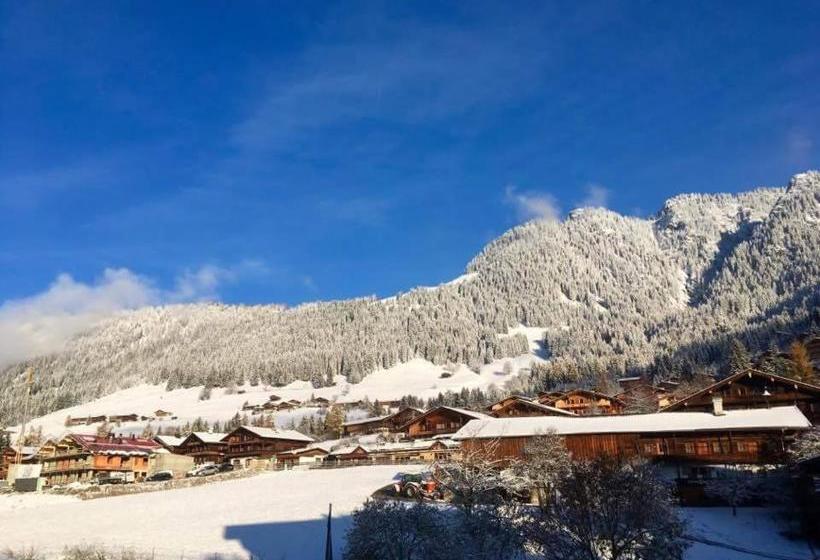 Отель Alpbachblick