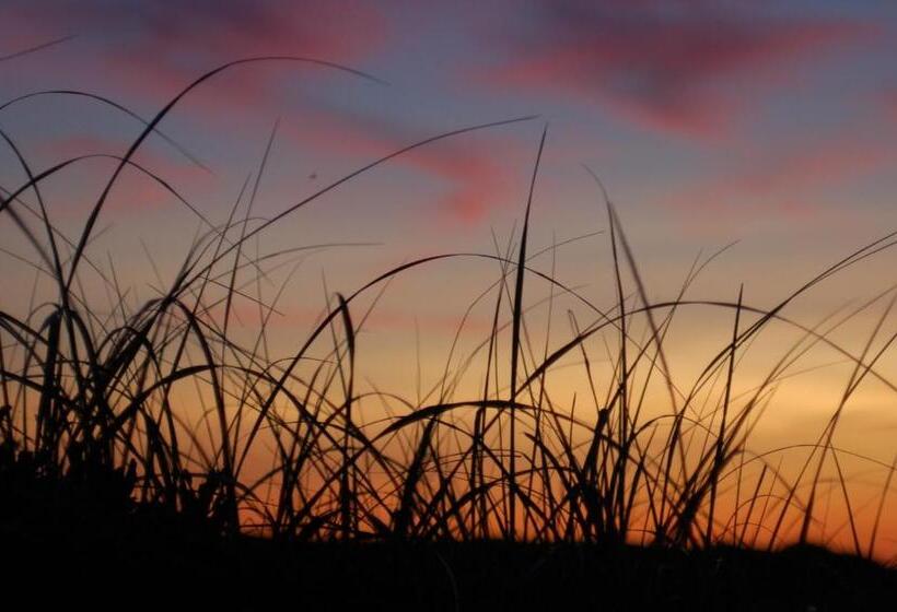 فندق Anchor Inn Beach House