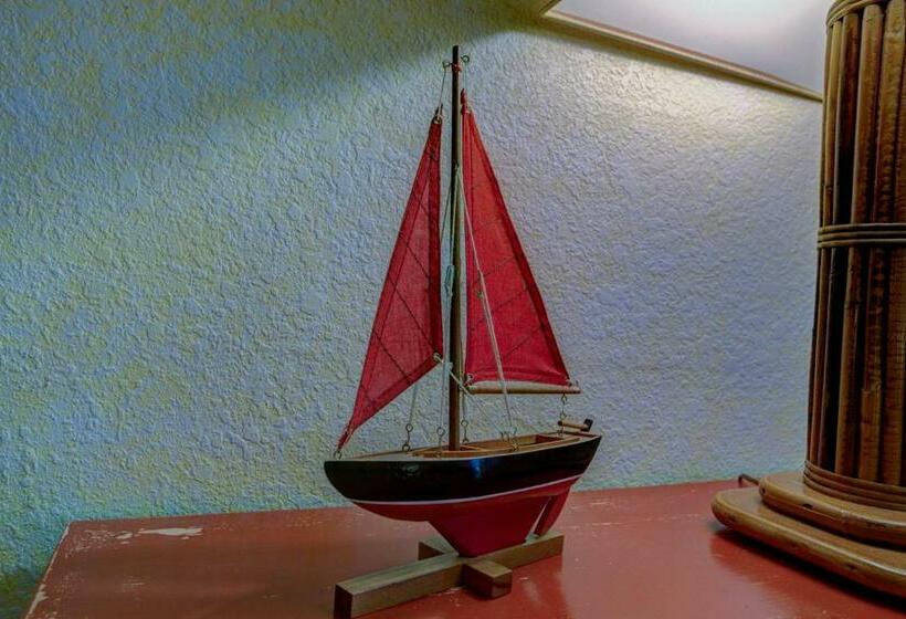 فندق Anchor Inn Nsb Bed And Breakfast