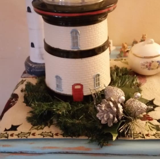 فندق Anchor Inn Nsb Bed And Breakfast