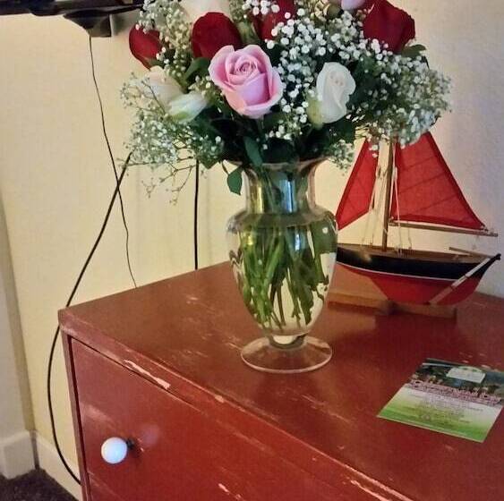 فندق Anchor Inn Nsb Bed And Breakfast