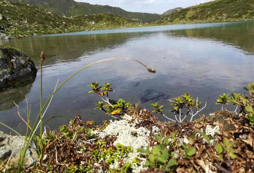 Отель Apart Franzi