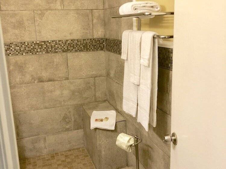 בית מלון כפרי Atlantis Inn   Tybee Island