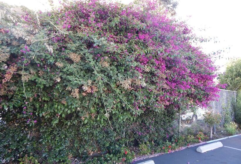 هتل Bay Bridge Inn Oakland