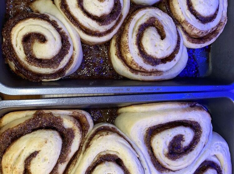 فندق Bell In The Woods B&b