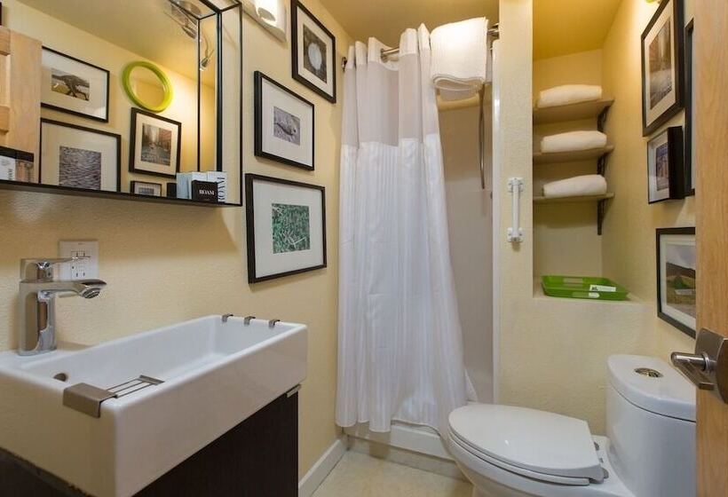 فندق Bell In The Woods B&b