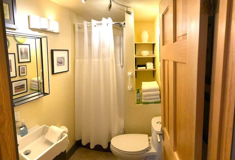 فندق Bell In The Woods B&b