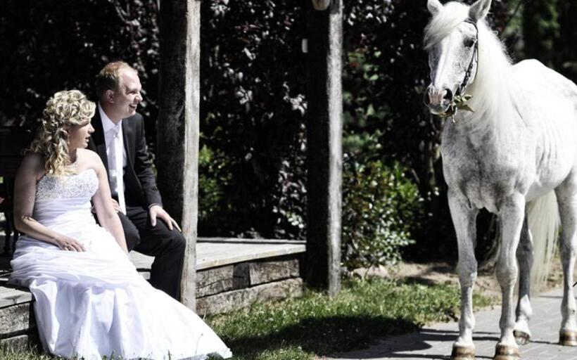 בית מלון כפרי Biesiada