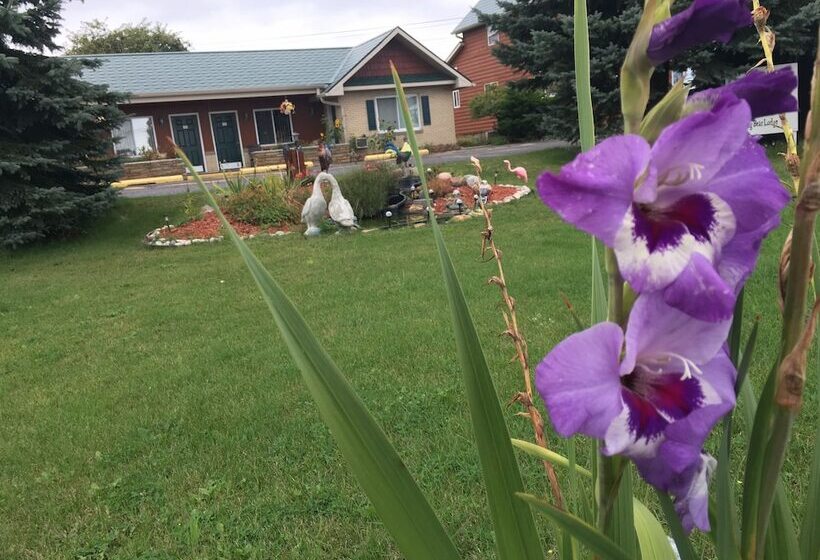 فندق Big Bear Lodge