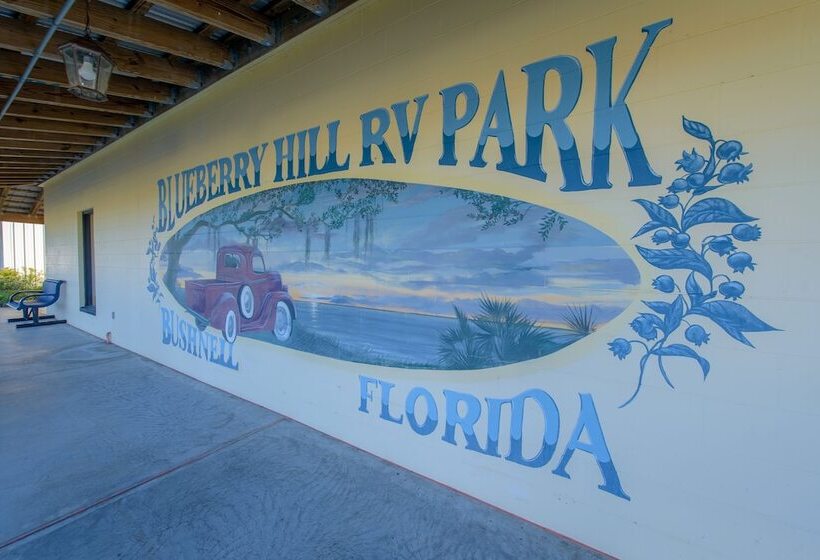 فندق Blueberry Hill