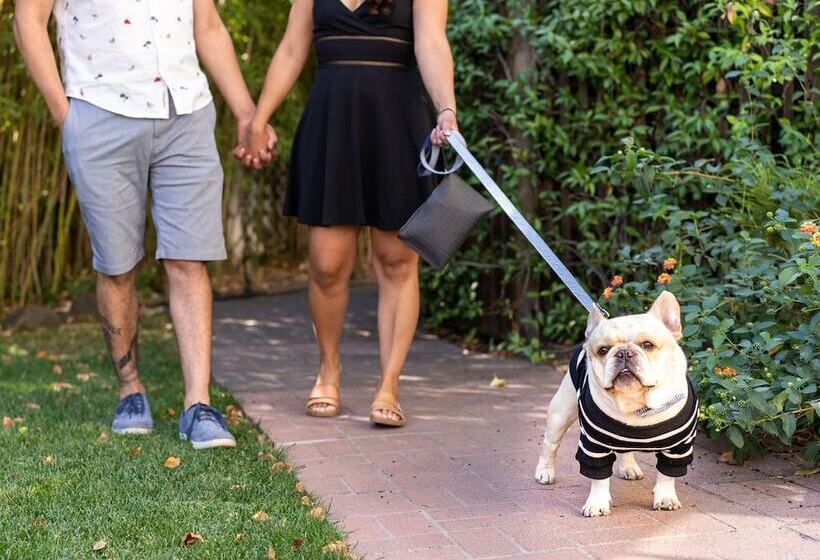 هتل Brannan Cottage Inn