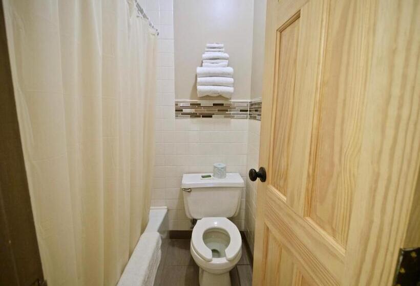 Отель Caberfae Peaks Ski & Golf Resort