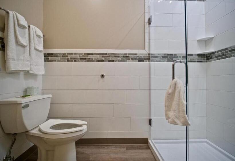 בית מלון כפרי Caberfae Peaks Ski & Golf Resort