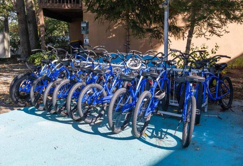 Отель Canalside Inn