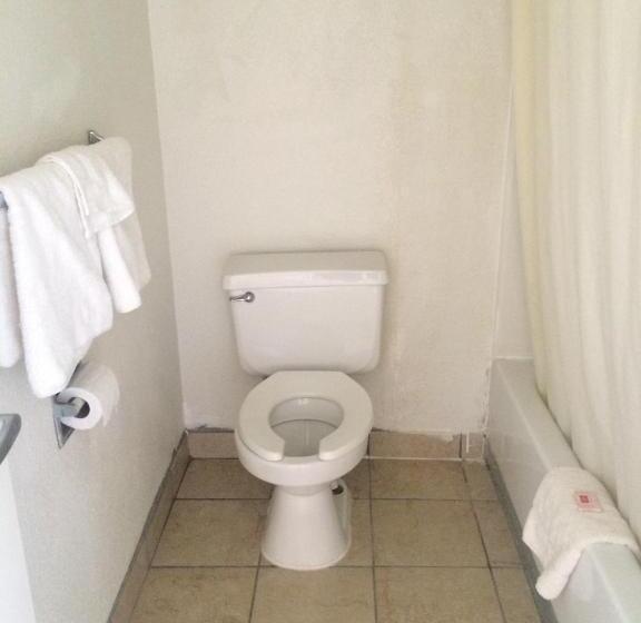 Отель Carpet Inn