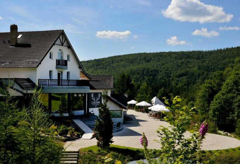בית מלון כפרי Chojnik
