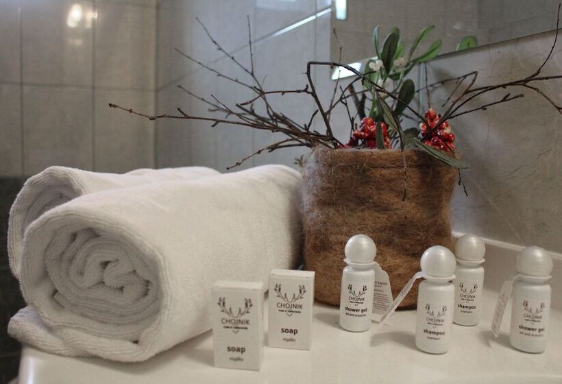 בית מלון כפרי Chojnik