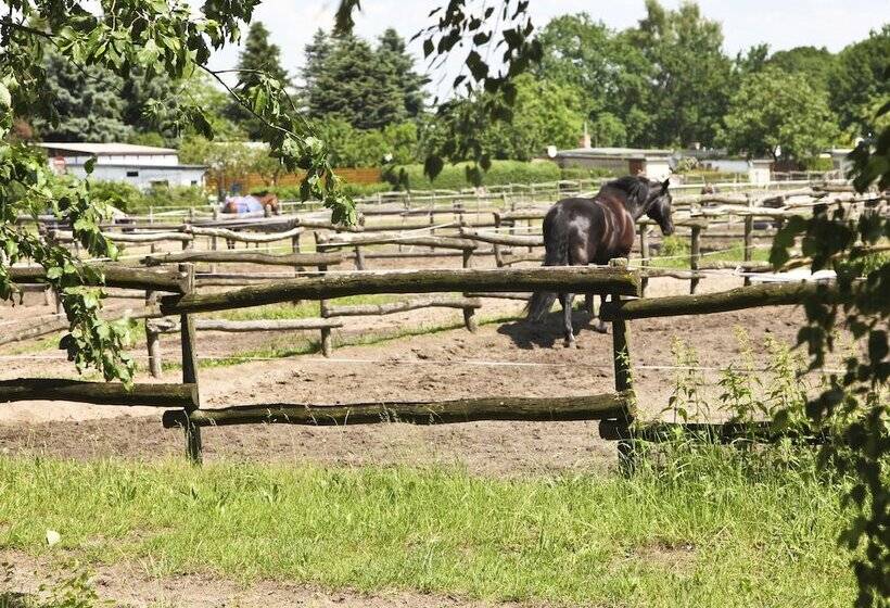 ホテル Country Inn Suiten