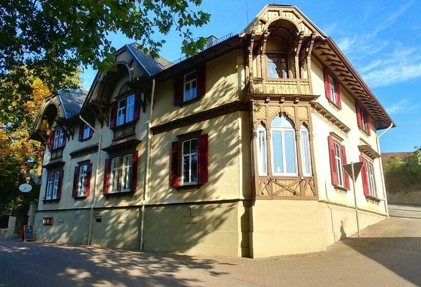 Privathotel Der Schwarze Herrgott No Tv