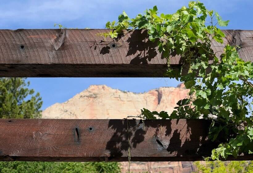 فندق Desert Pearl Inn