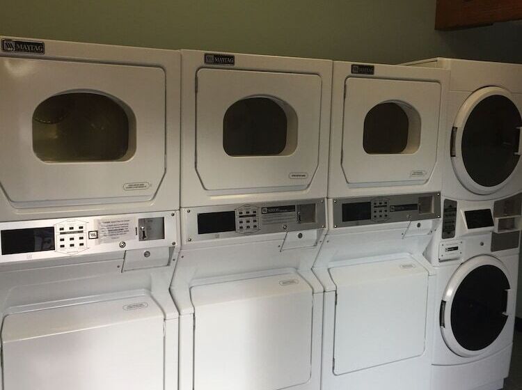 فندق Desert Pearl Inn