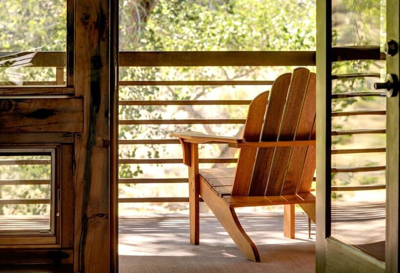 فندق Desert Pearl Inn