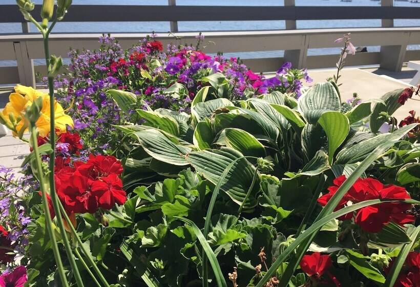 酒店 Dyer's Beach House