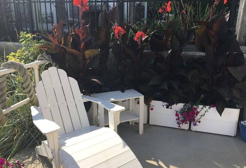 酒店 Dyer's Beach House