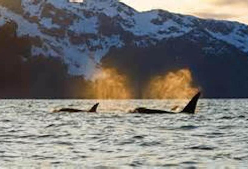 فندق Fourth Avenue Lodging