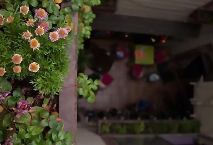 فندق Green Tortoise Hostel