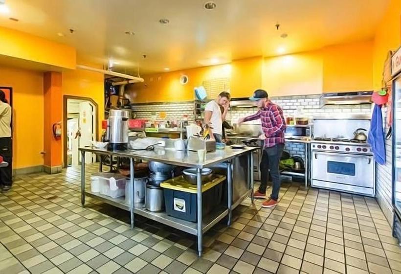 فندق Green Tortoise Hostel