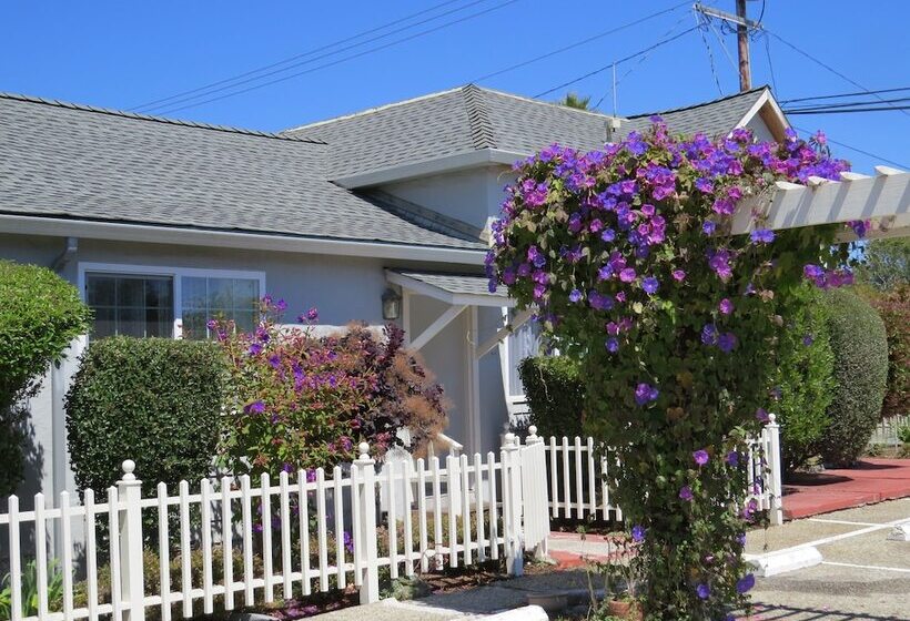 ホテル Harbor Inn