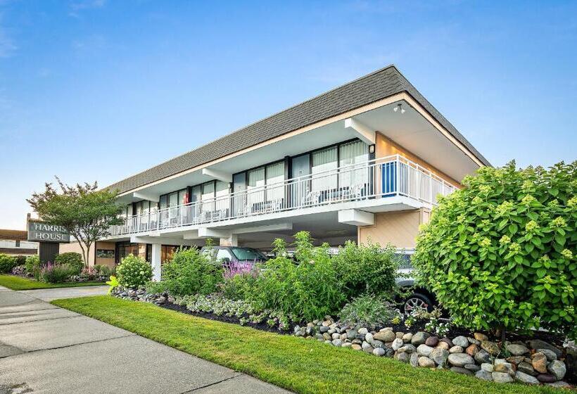 Отель Harris House By The Beach
