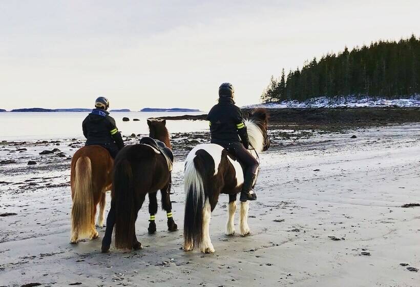 호텔 Hartstone Inn