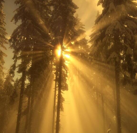 Отель Haus Barbara