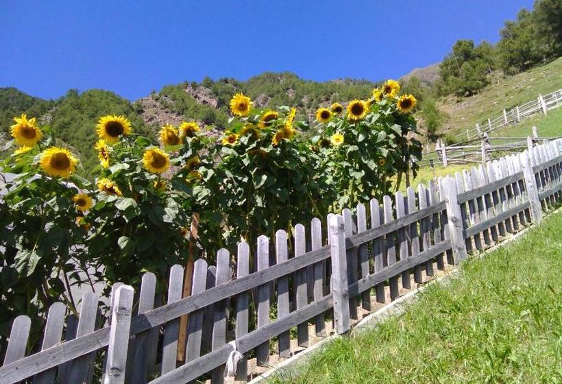 Отель Haus Elisabeth
