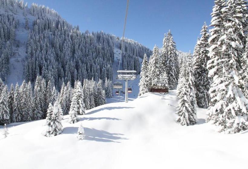 Отель Haus Elisabeth