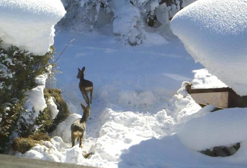 فندق Haus Koenighofer