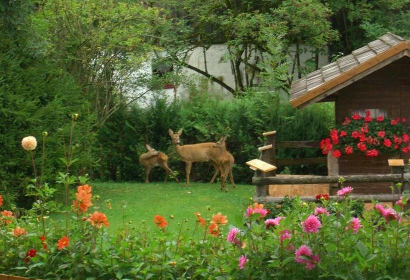 فندق Haus Koenighofer