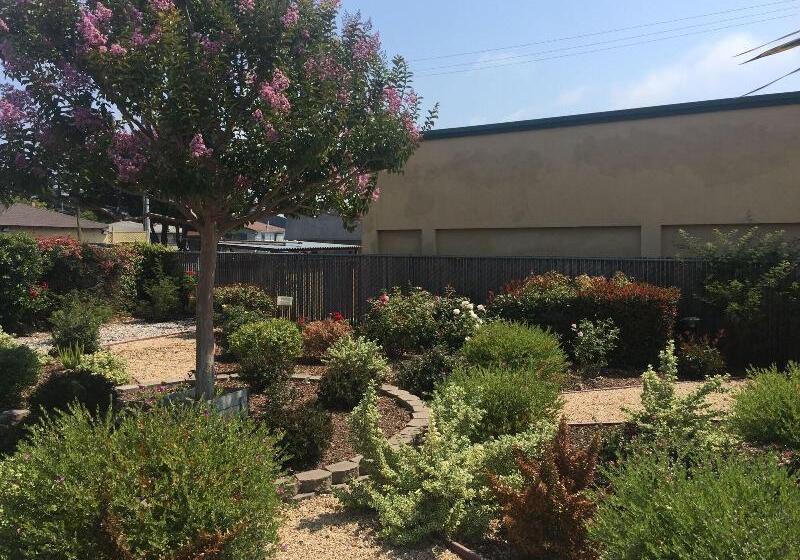 ホテル Hitching Post Studios Inn