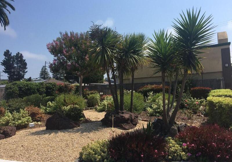 ホテル Hitching Post Studios Inn