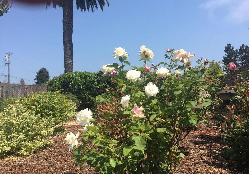 ホテル Hitching Post Studios Inn