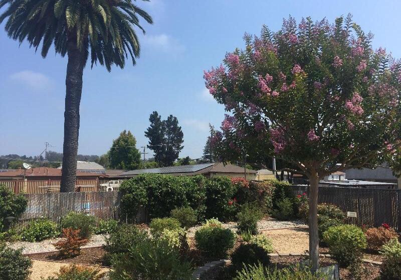 ホテル Hitching Post Studios Inn