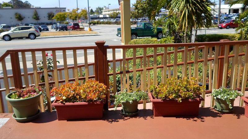 ホテル Hitching Post Studios Inn