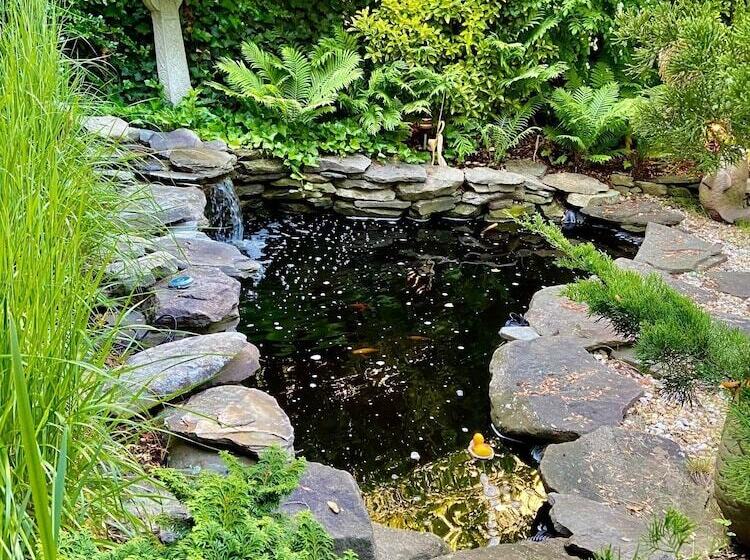 Отель Inn At Cook Street