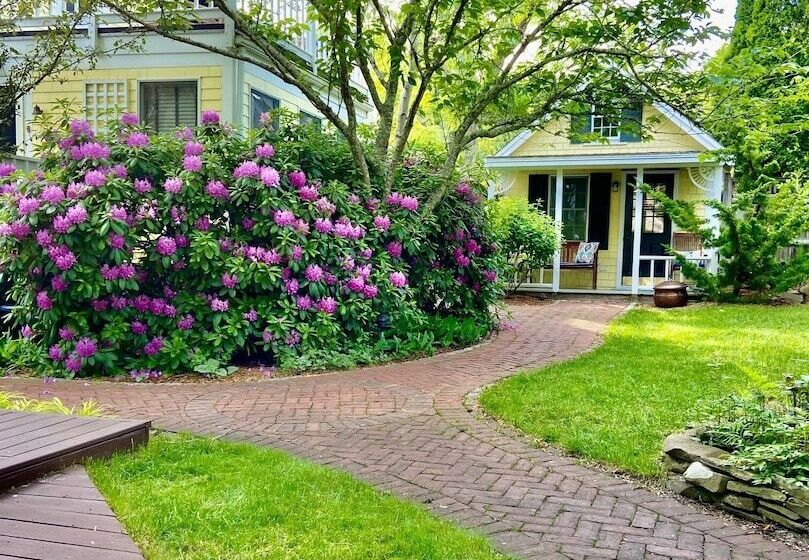 Отель Inn At Cook Street