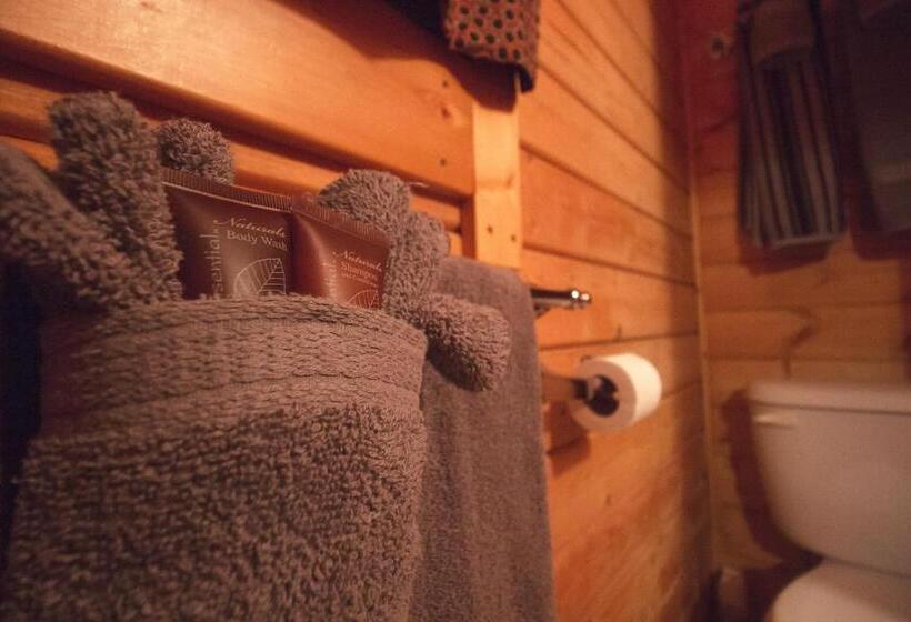 호텔 Katie's Cozy Cabins